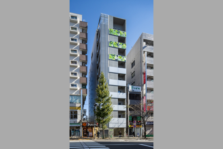 ｓｋｇｔ長谷部 代表作品 藤木工務店